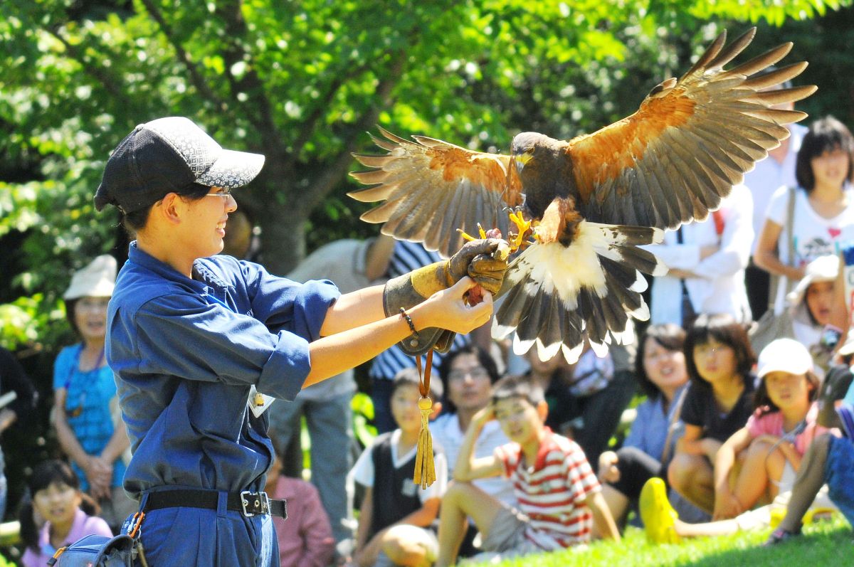 Matsue Vogel Park