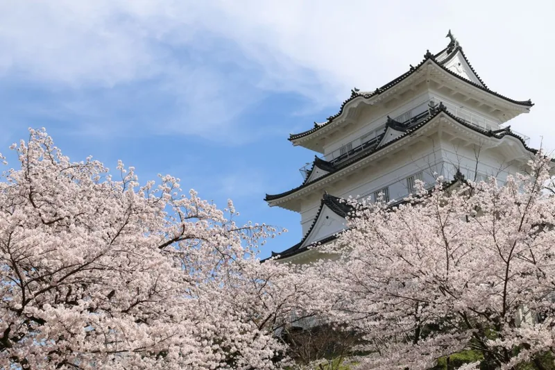 odawarajo_castle