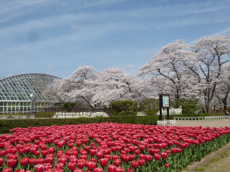 kyoto_botanical_gardens