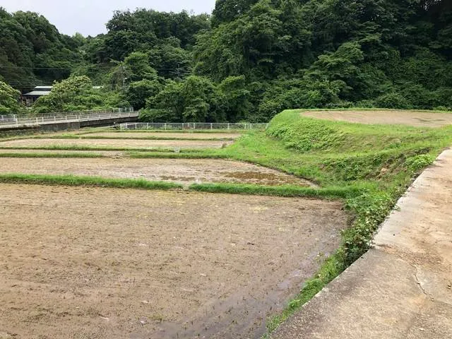 sake_hakone_kanagawa