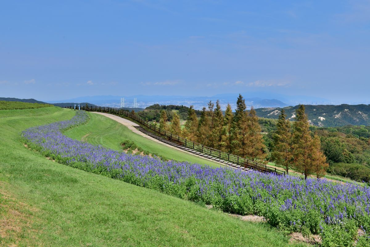 Awaji Hanasajiki Park