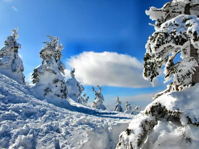 snow
