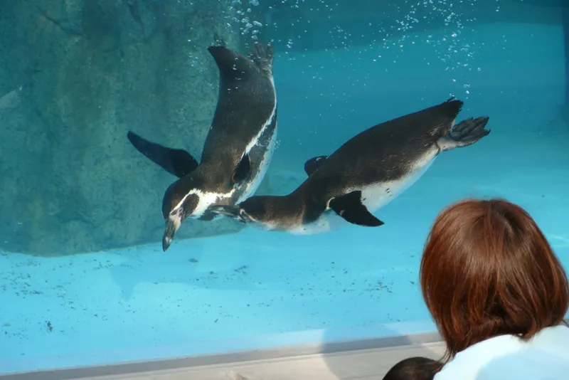 Tobe Zoological Park