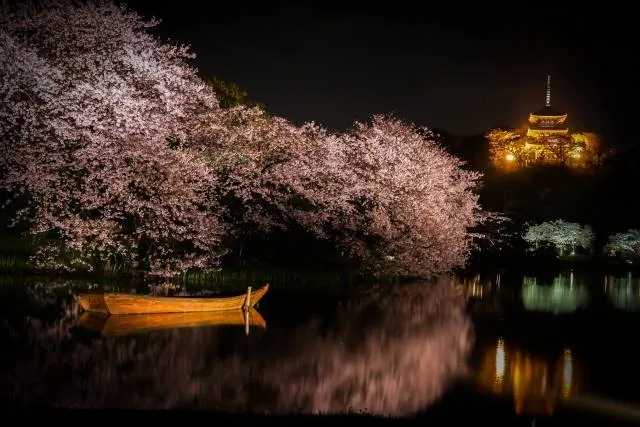 yokohama9