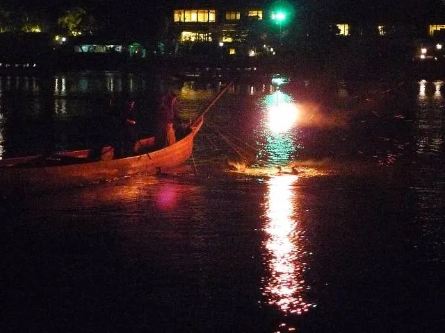Traditional Cormorant Fishing in Ozu
