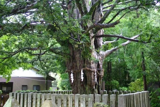 kumano kodo wakayama
