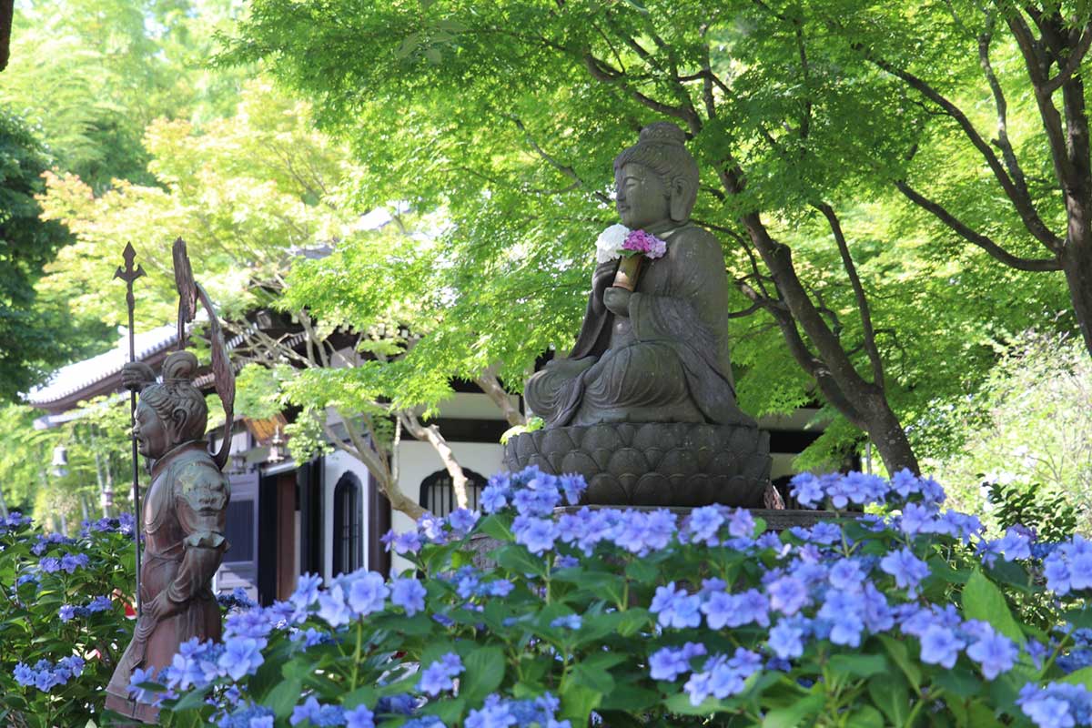 Hasedera Temple (Kamakura)