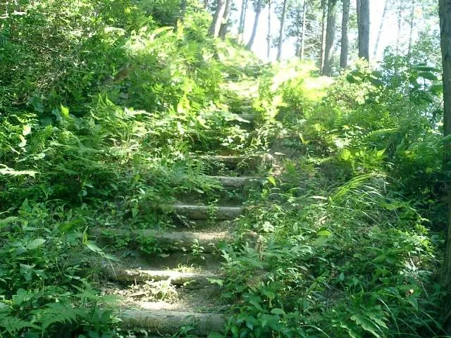 castle_fukui