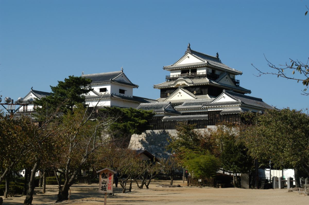 Matsuyamajo Castle