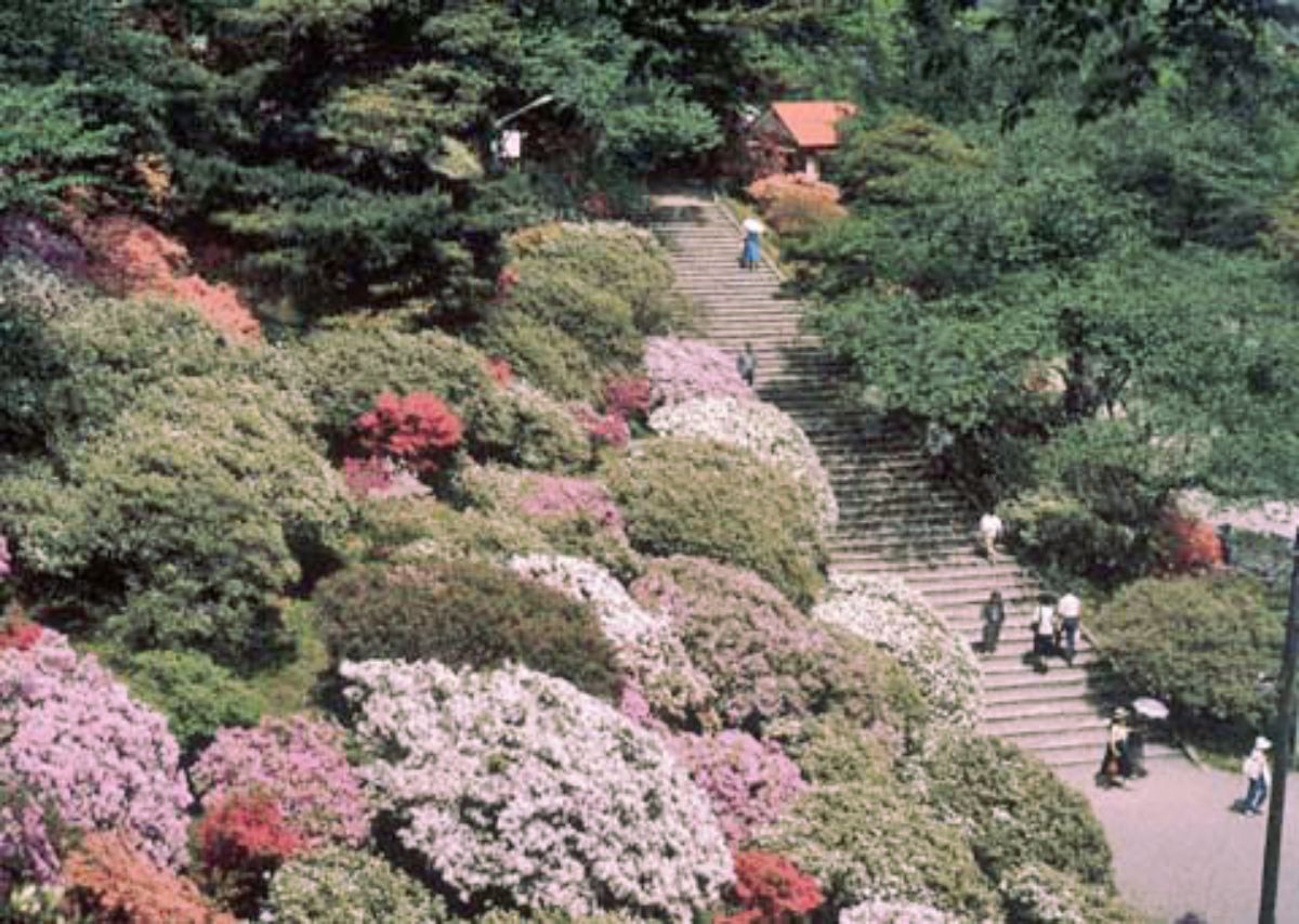 Senshu Koen Park