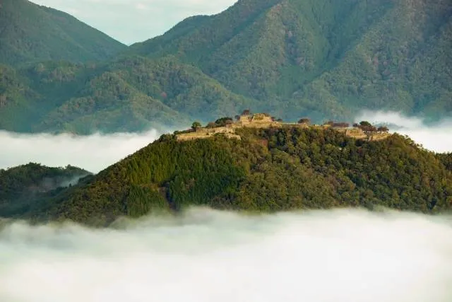 castle_fukui