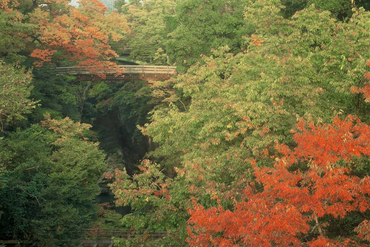 Saruhashi Bridge