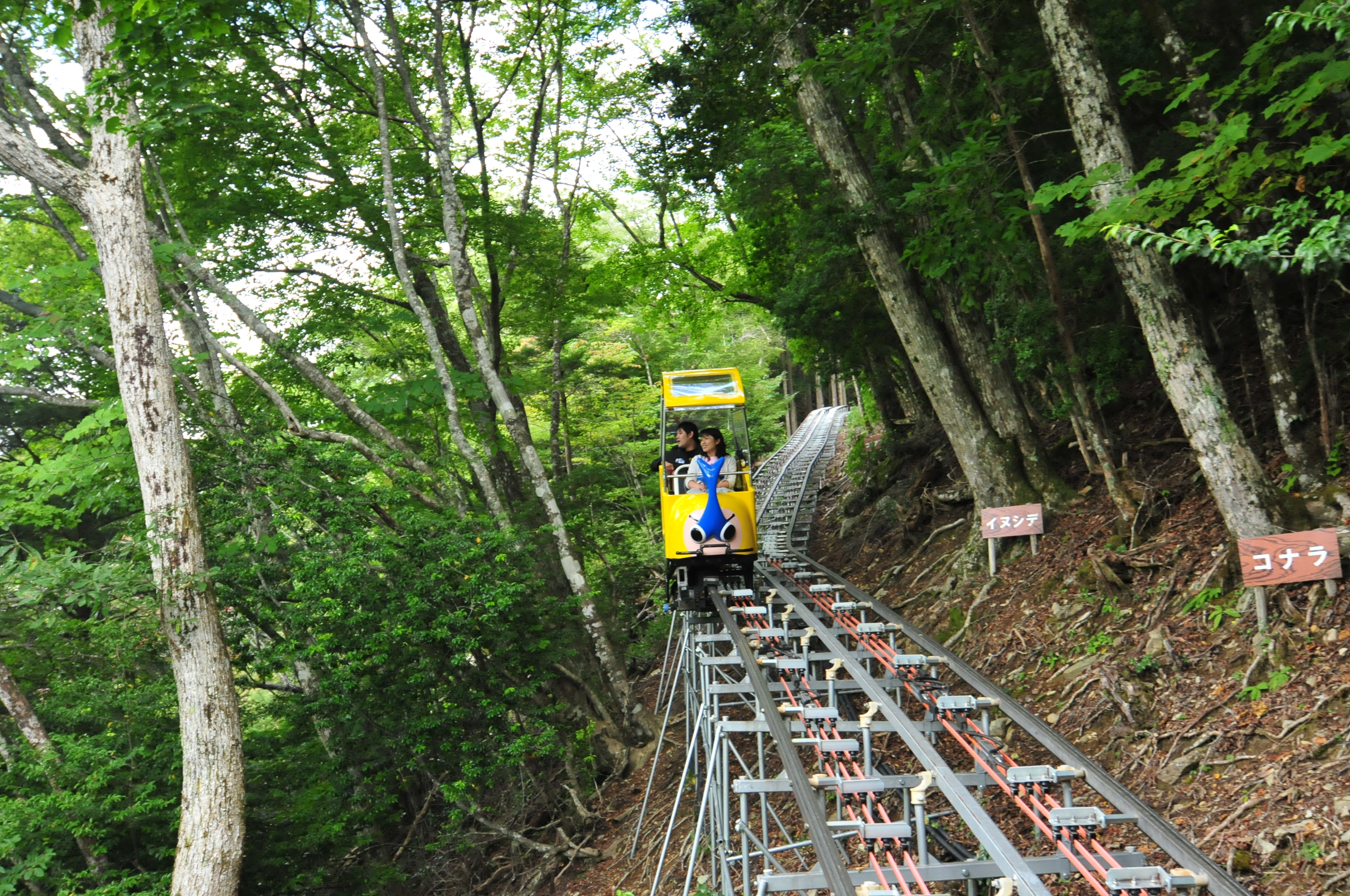 Okuiya Sightseeing Tour Monorail