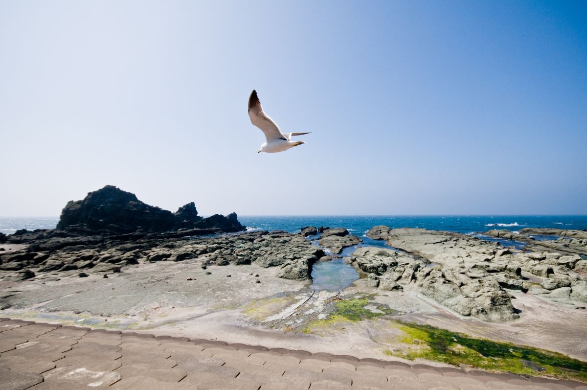 Senjojiki Kaigan Coast