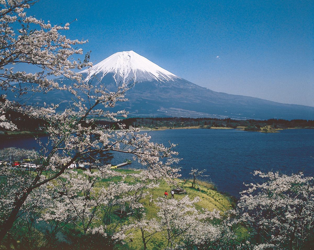 Mt. Fuji