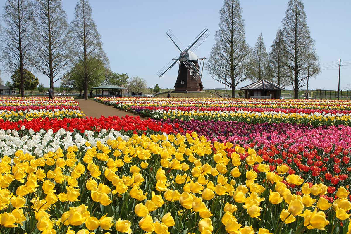 Akebonoyama Agricultural Park