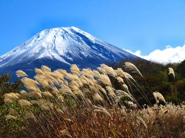 fuji
