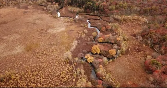 hiking tochigi