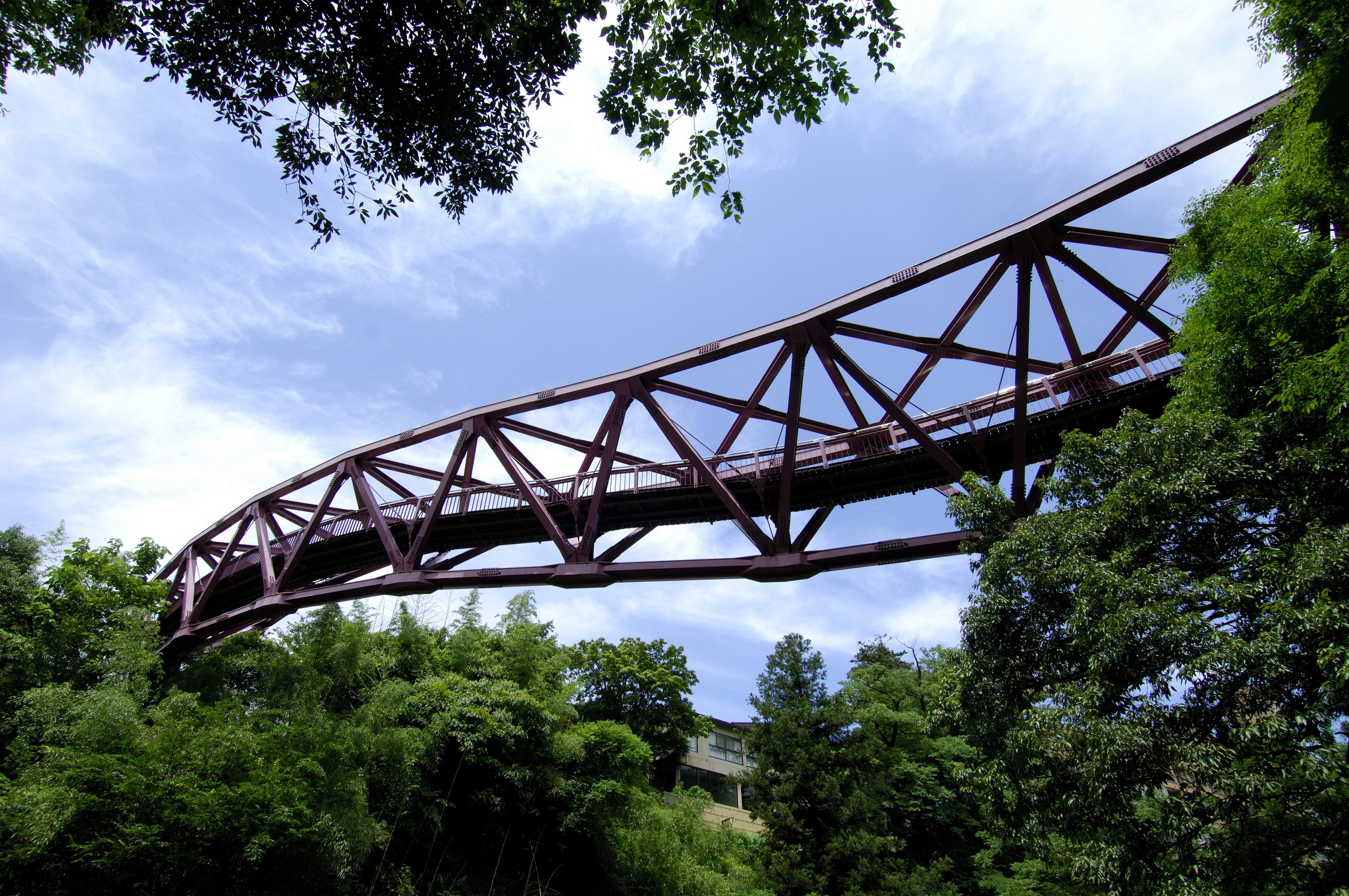 Ayatori Hashi Bridge