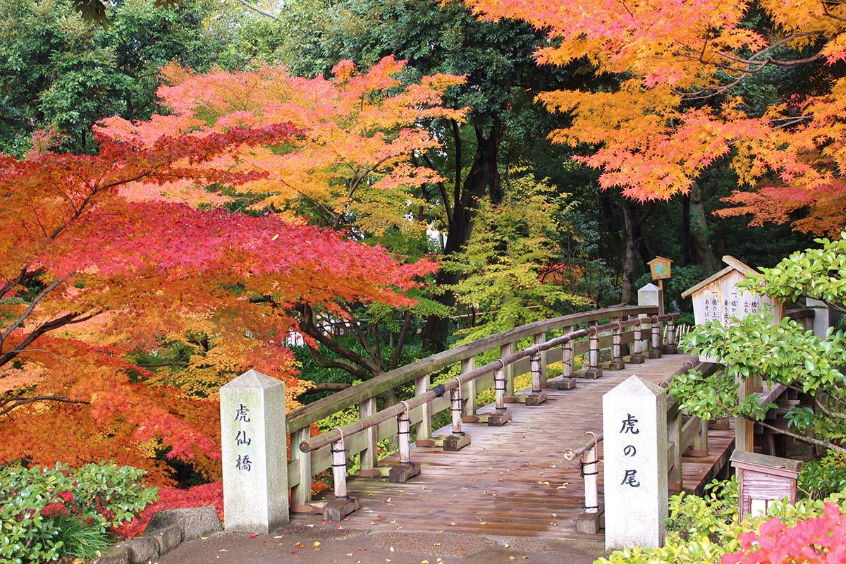 Tokugawaen Garden