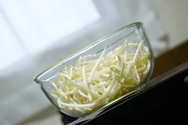 bean_sprouts_aomori