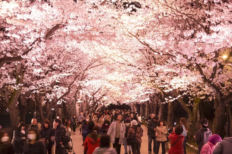 takada_koen_park
