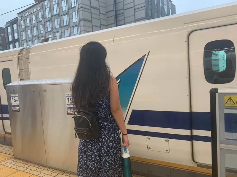 luggage free