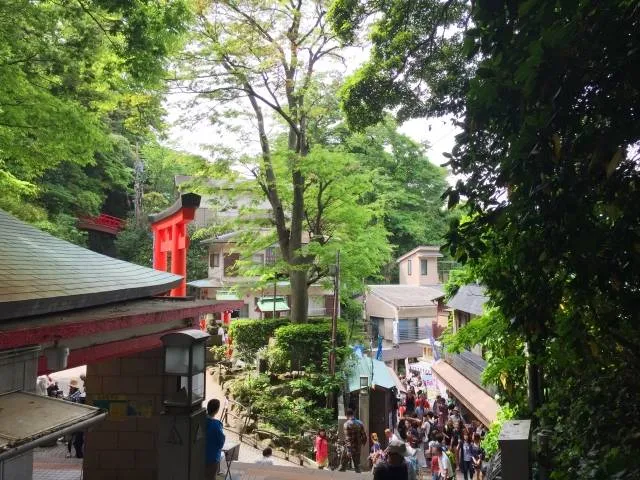 buddhan_enoden_train_kamakura