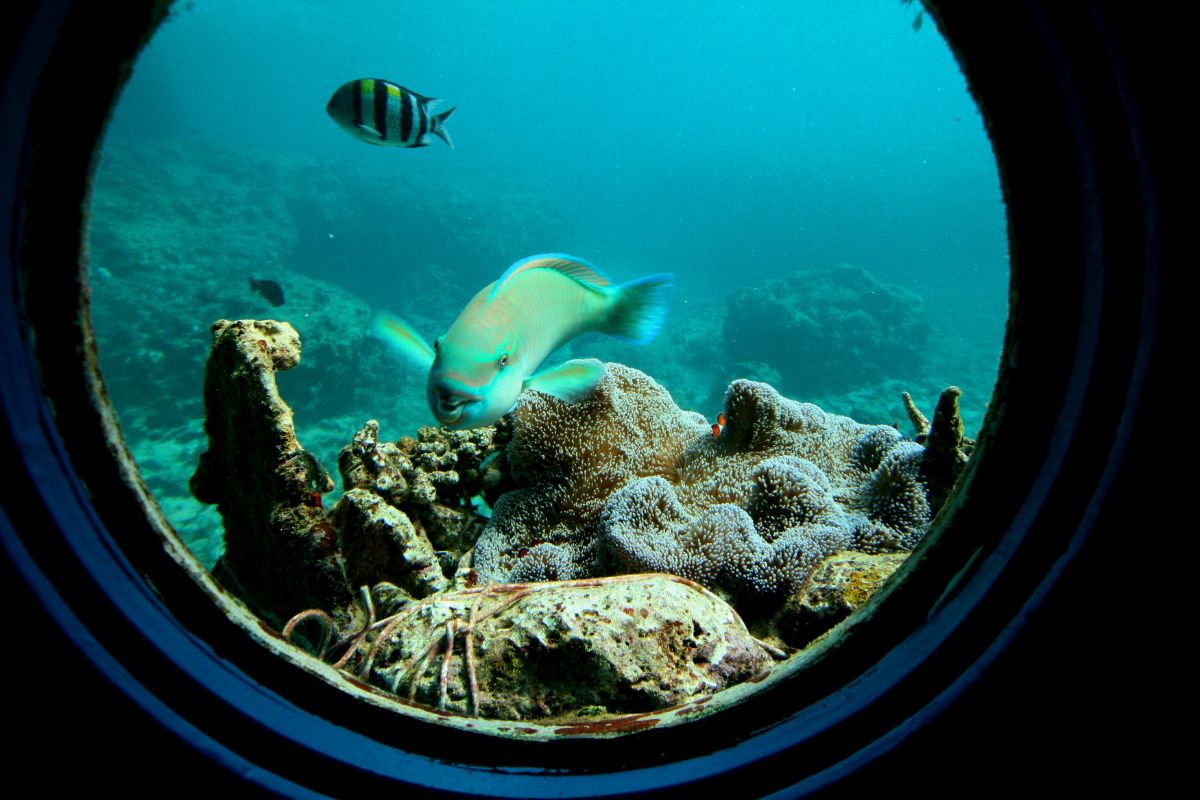 Busena Marine Park