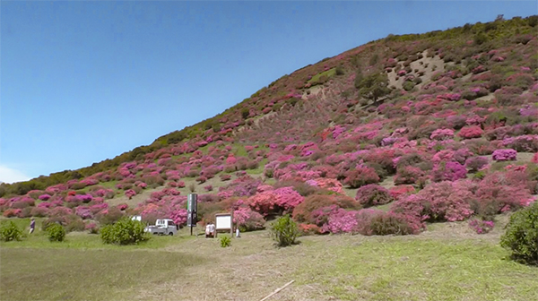 Takatouge Tsutsujigaoka Koen Park