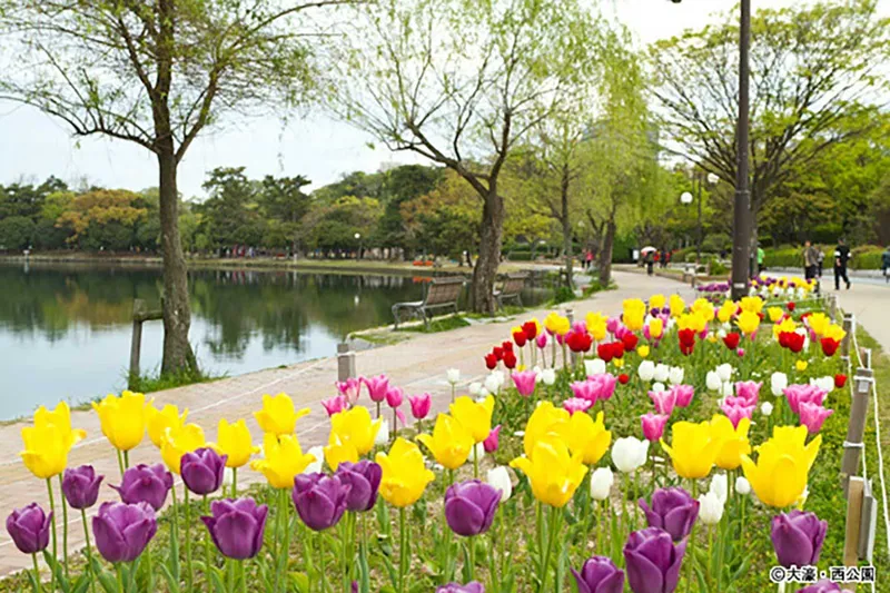 Ohori Park