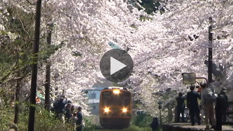 ashino_koen_park