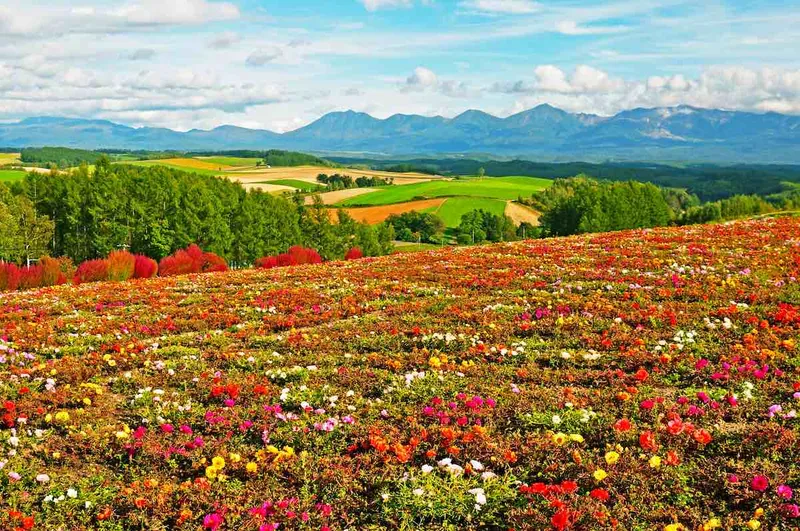 Furano
