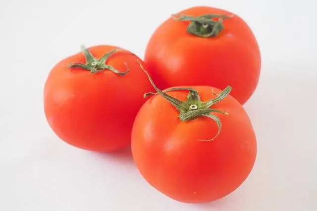 japanese vegetables