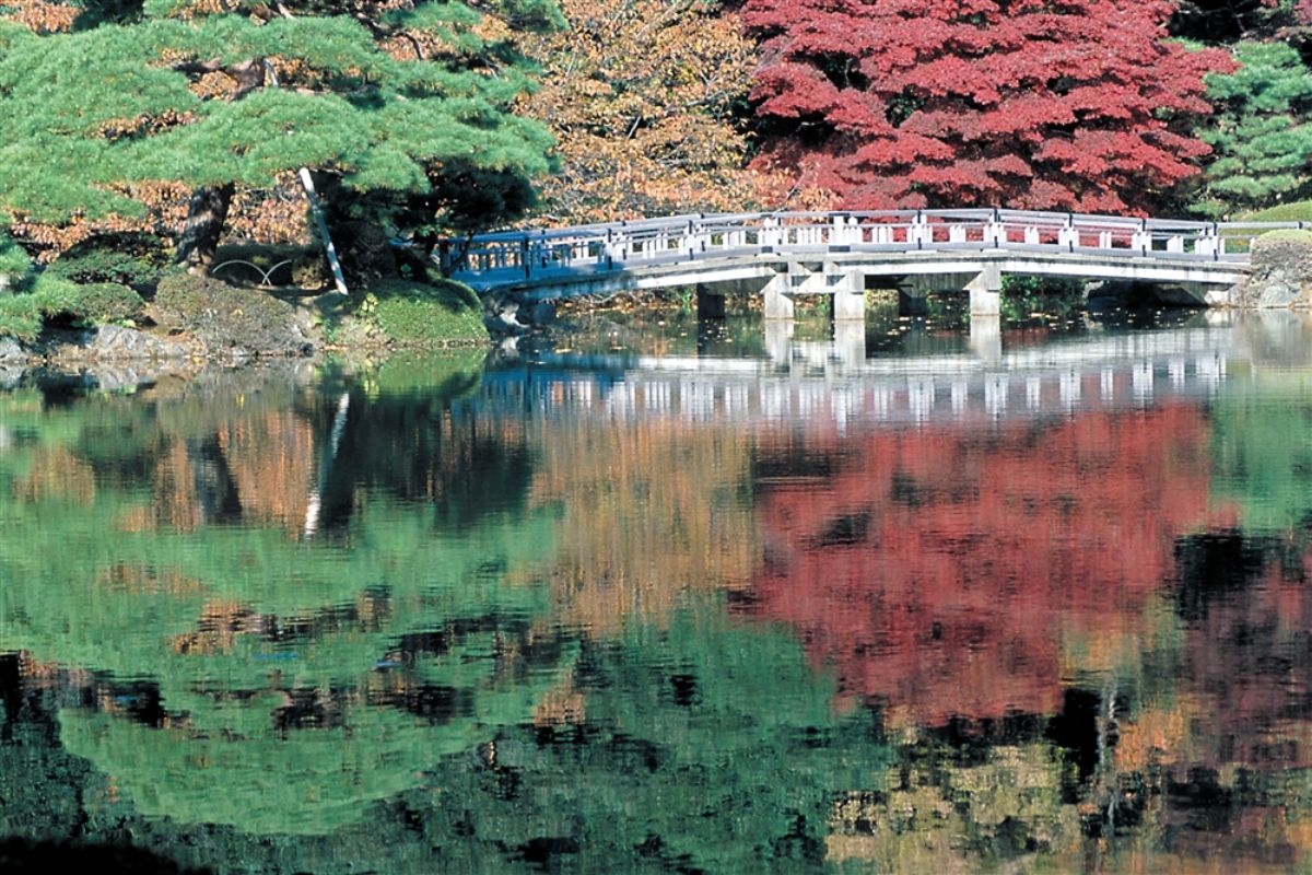 Shinjuku Gyoen National Garden-2