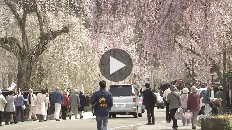 kakunodate_samurai_district