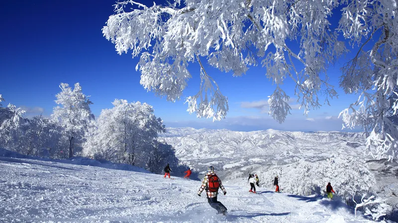 nozawa_onsen_snow_resort