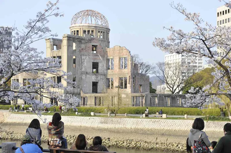A-Bomb Dome cherry blossom