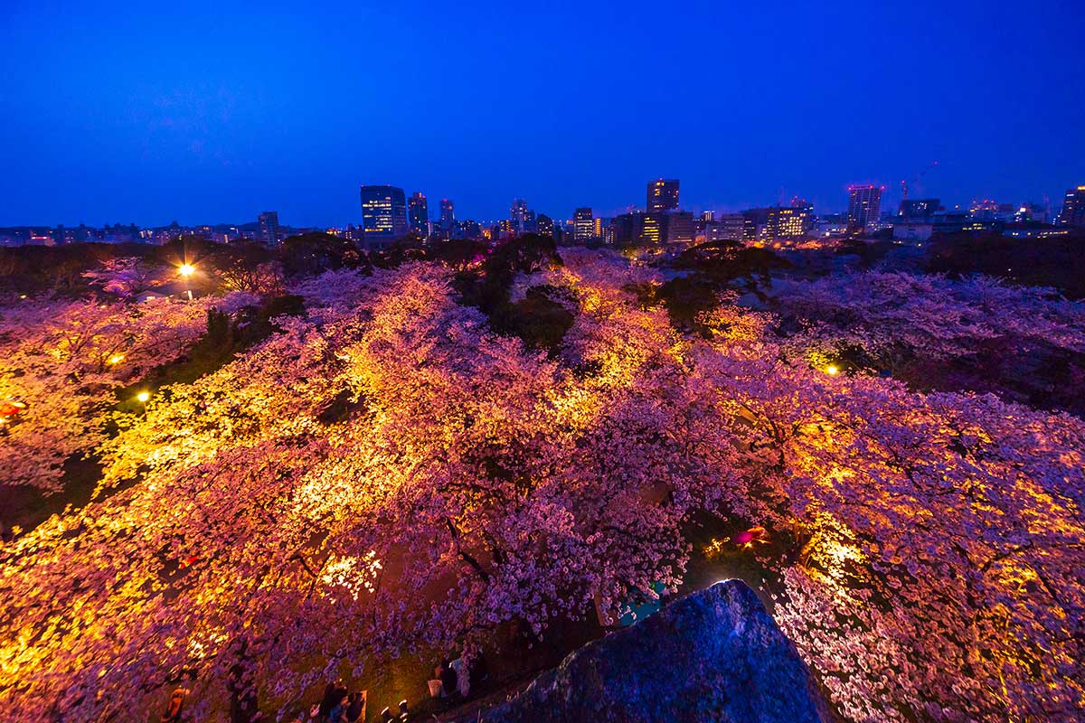 Maizuru Koen Park