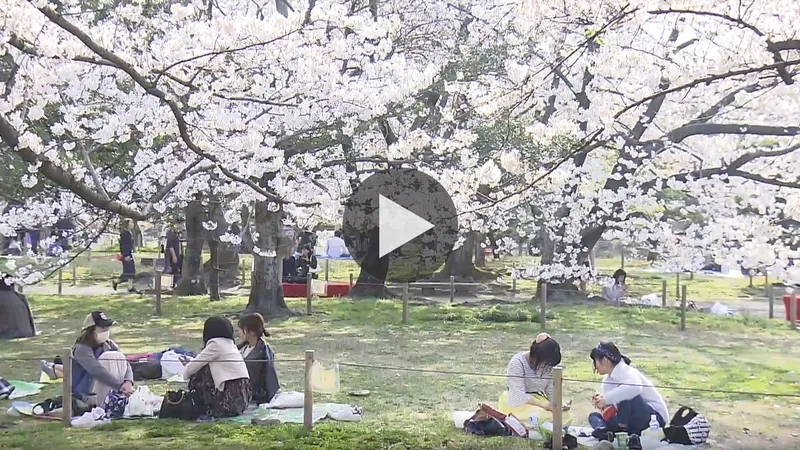 maizuru_koen_park