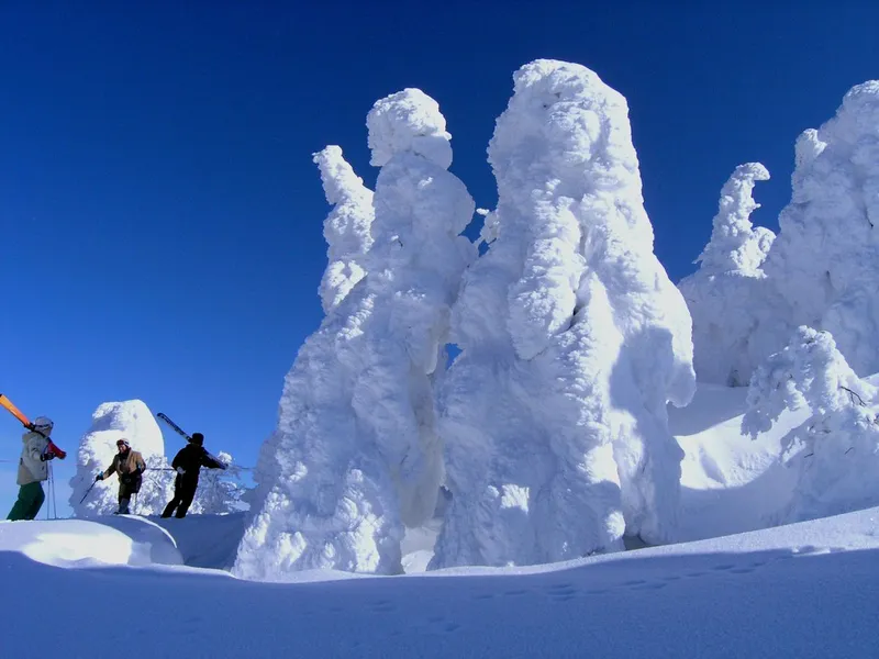 Rime ice
