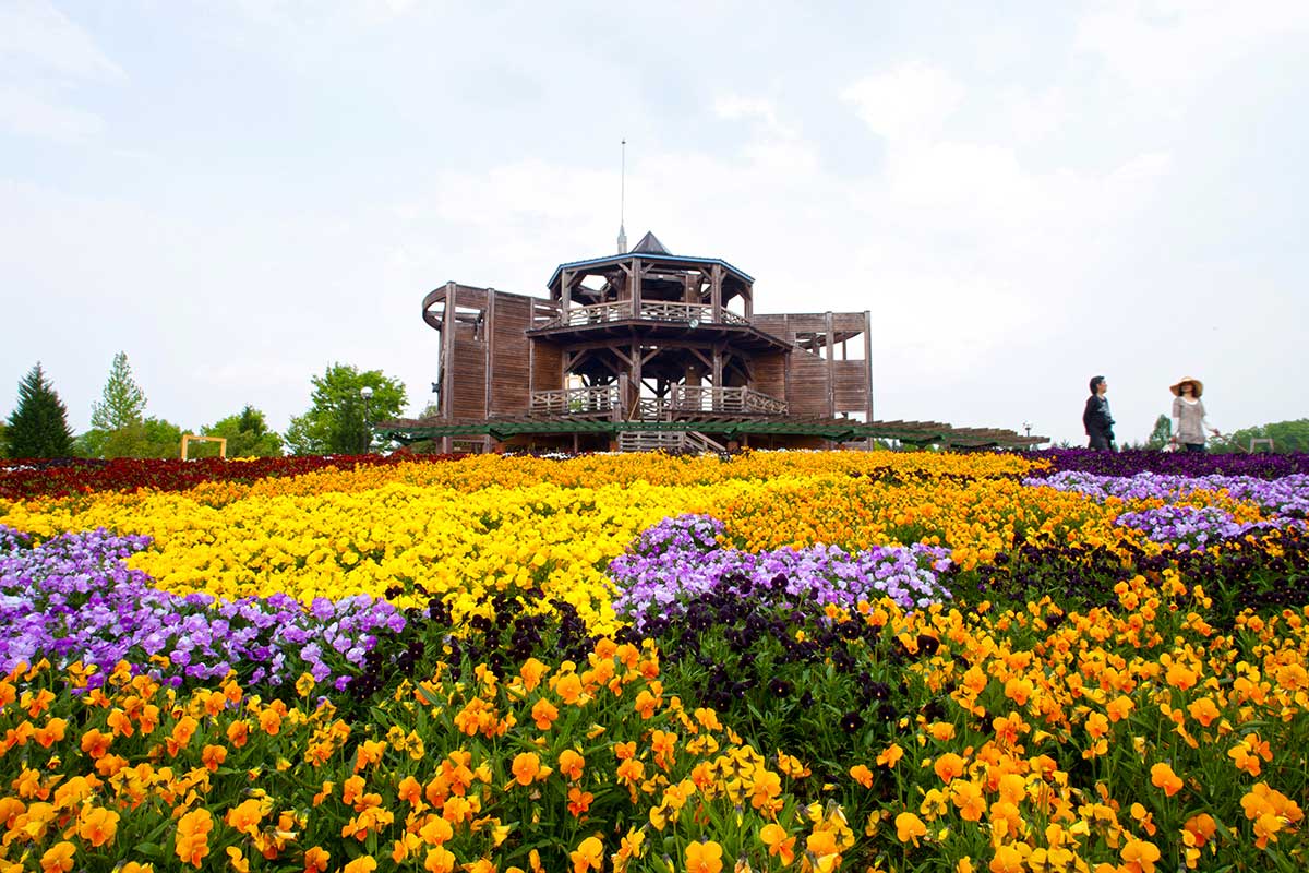 Bihoku Kyuryo Koen Park