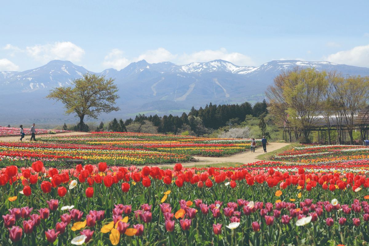 Nasu Flower World