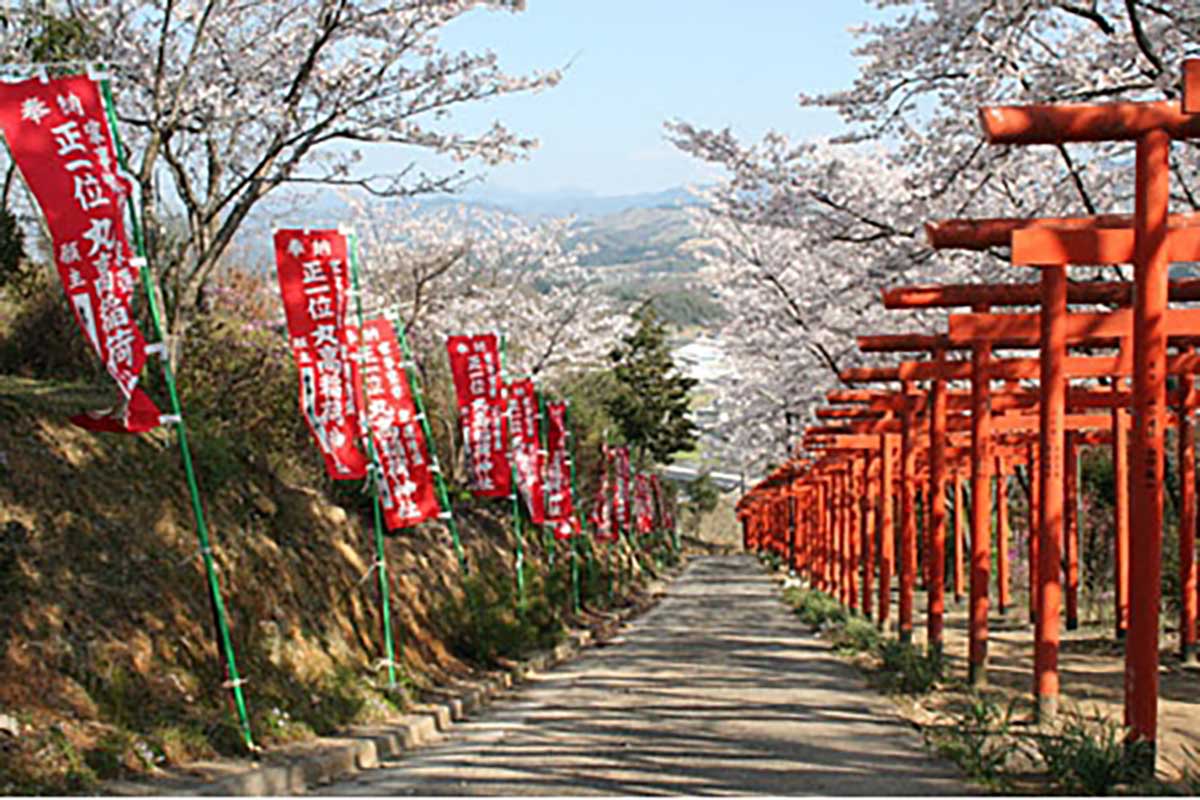 Marukoinari Jinja Shrine