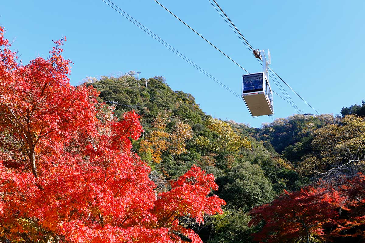 Mt. Kinka Ropeway