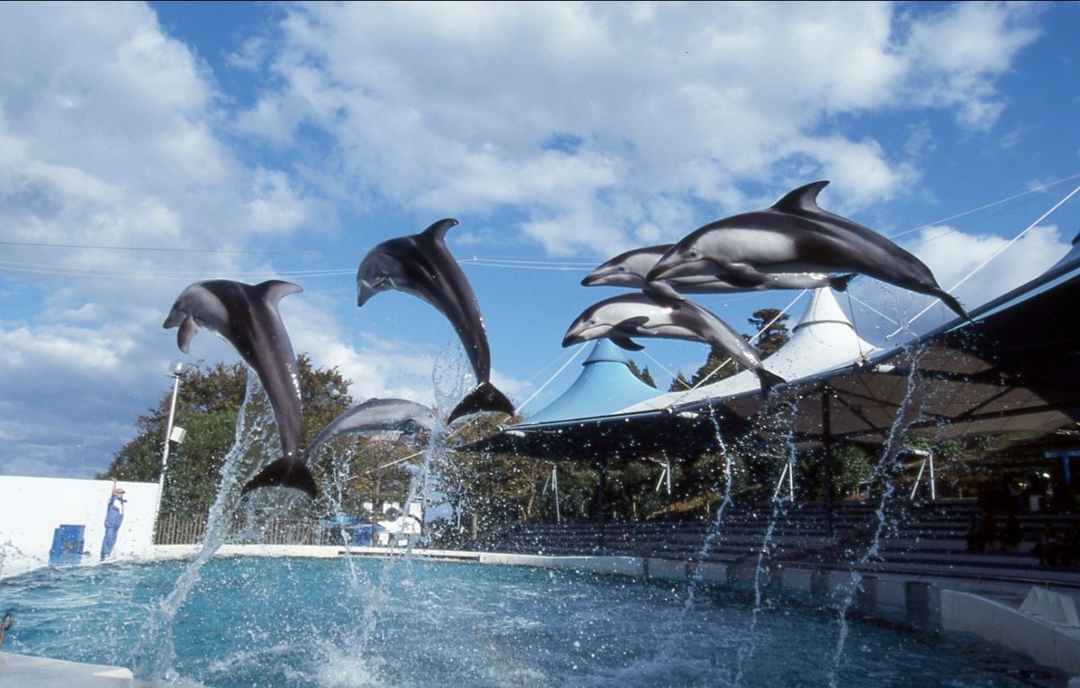 Notojima Aquarium