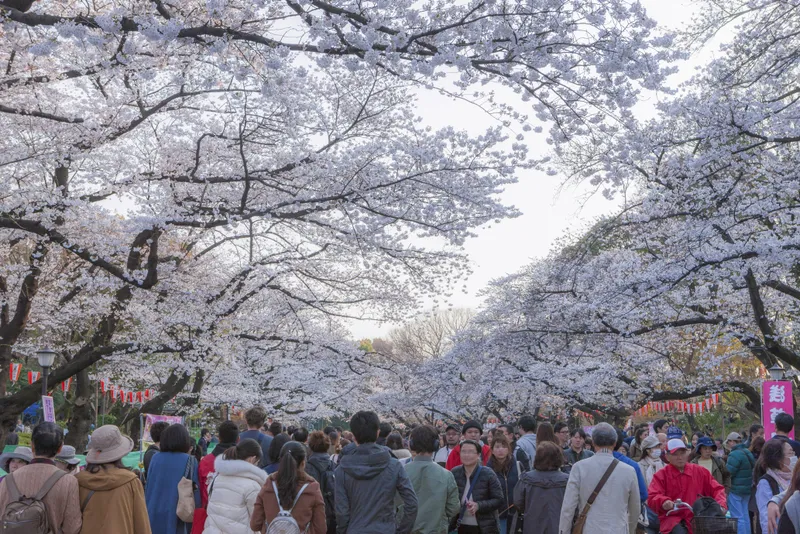 ueno_koen_park