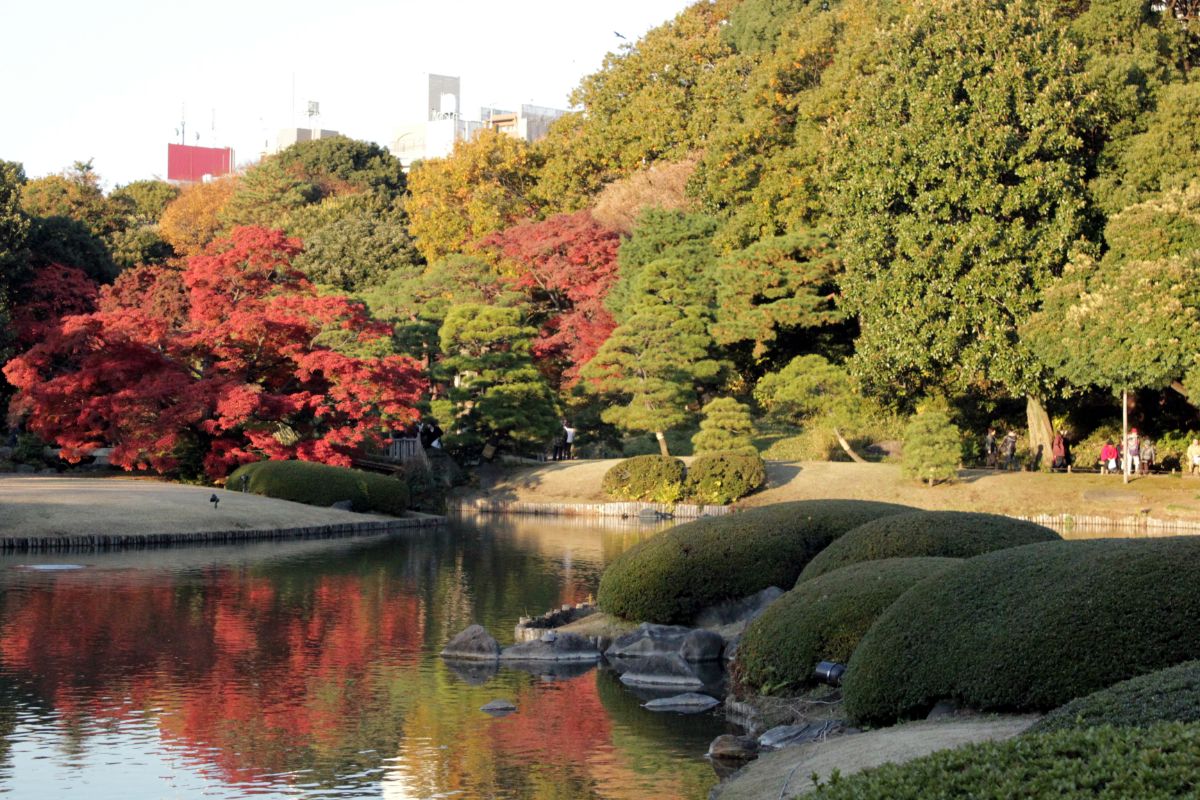 Rikugien Garden-4