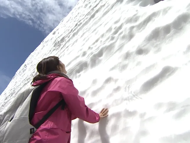snow wall toyama