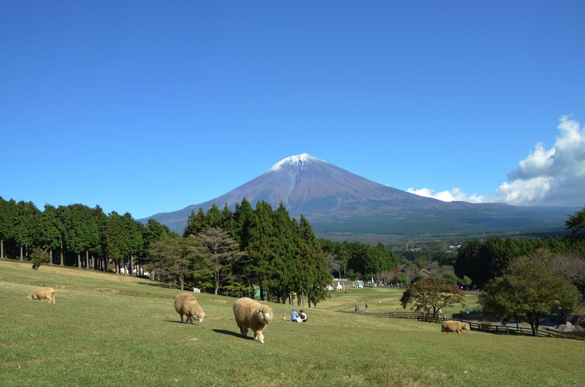 Makaino Farm Resort